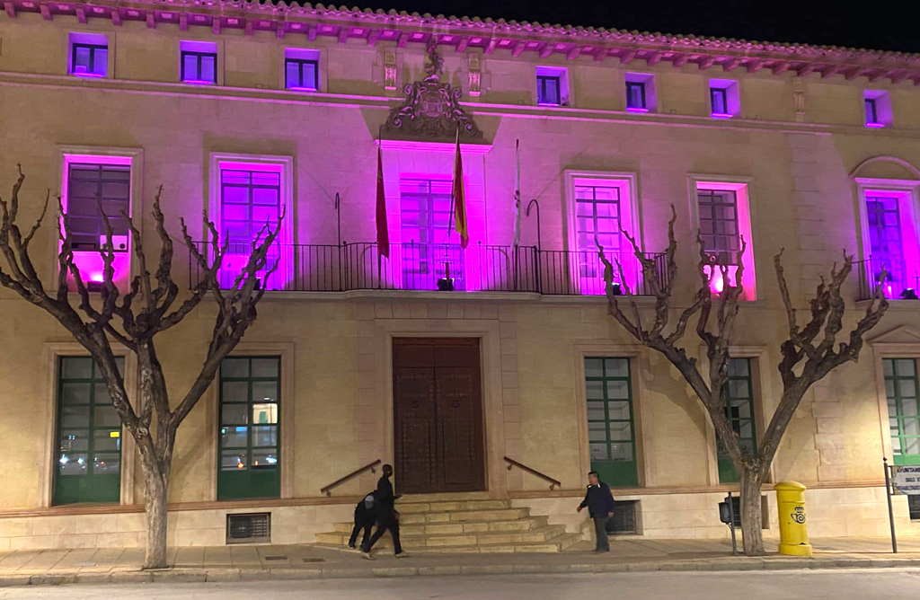 El Ayuntamiento se ilumina de prpura para conmemorar el Da Internacional de la Epilepsia 